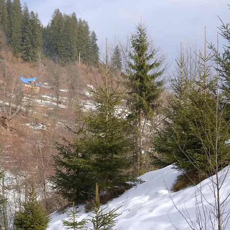 Forest Residens بيت للعطل