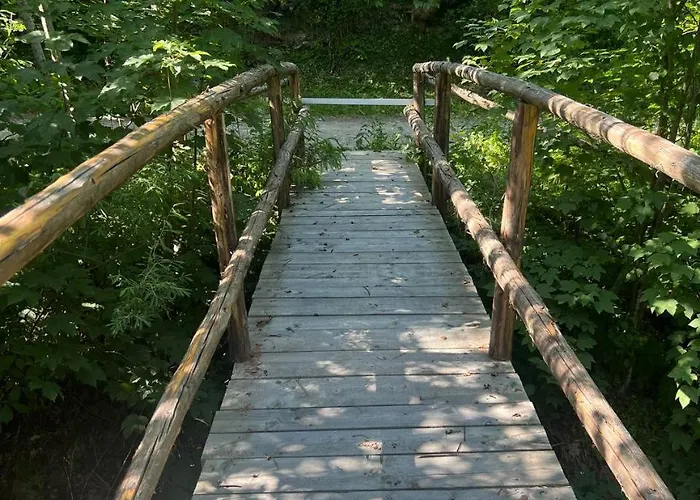 Nyaraló Forest Residens Krasznik