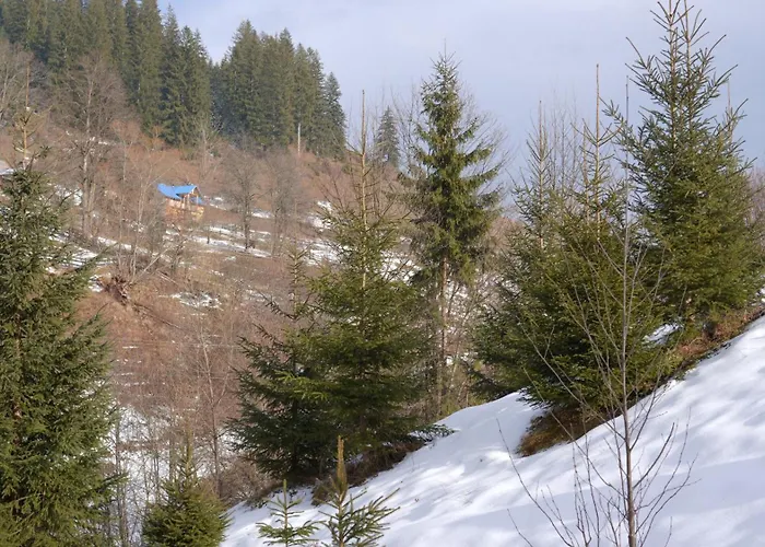 Forest Residens Nyaraló